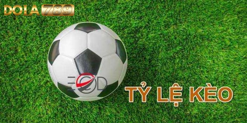 Tìm hiểu chi tiết kèo Malaysia là gì?