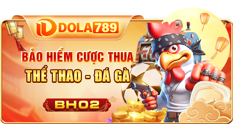 BẢO HIỂM THỂ THAO ĐÁ GÀ