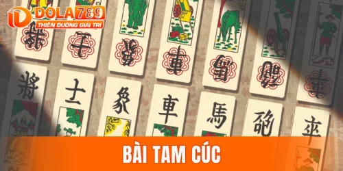Bài tam cúc